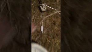дробилка из мотора от стиралки и кастрюля самая простая зернодробилка