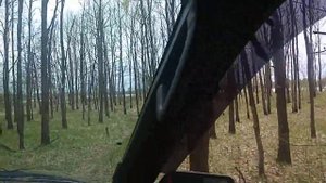 Дорога вдоль р. Днепр, Украина, Черниговская обл, Репкинский р-н, Радуль.