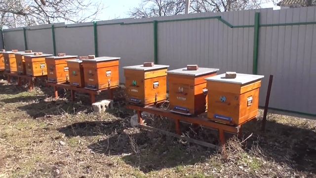 Готовим канди к весеннему развитию и подкармливаем пчёл смотреть онлайн