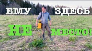 #53. Выживаем вредителя с деревенской земли. [Жизнь на своей земле]