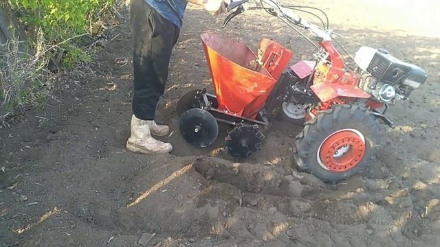 Посадка картофеля мотоблоком Brait 135GEDS и заводской картофелесажалкой смотреть онлайн