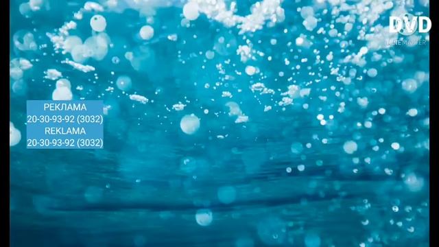 2017 2021 DVD РЕКЛАМА смотреть онлайн