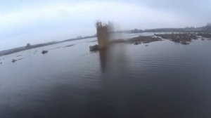 ОХОТА НА ГУСЯ И СЕЛЕЗНЯ 2024г. Просто шикарная утрянка.# охотанагуся#охотанаселезня#селезень#гуси