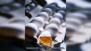 Сколько хранятся куриные яйца в холодильнике