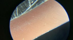 Пасты LUXOR. Сравнение и тестирование.