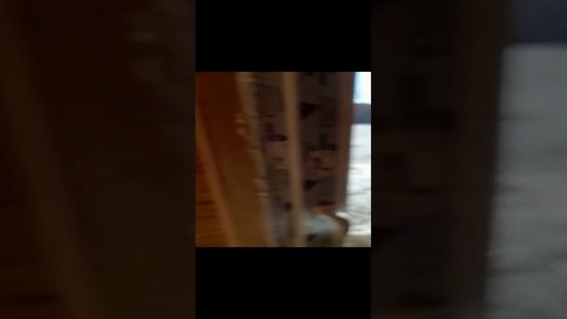 летняя кухня куда угодно