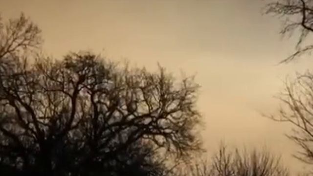 В Ночном Саду. Рождественскую песню исполняет семейный ансамбль Воронцовых