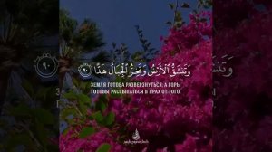 Чтец: Мухаммад Аль-Люхайдан Сура 19 Марьям аяты 88-93 Красивое чтение Кур'ана!