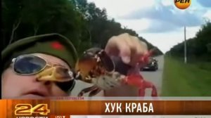 Краб укусил мужчину за нос