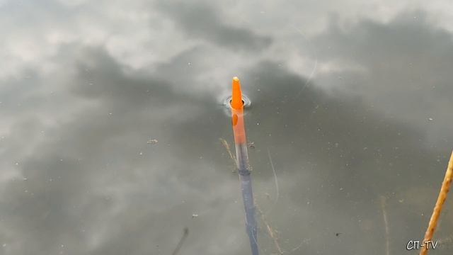 Озеро под Кизил-Ташем. Рыбалка, как психологический отдых смотреть онлайн