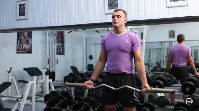 Сгибание рук со штангой стоя смотреть онлайн