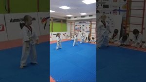 Тхэквондо ВТ сдача на жёлтый пояс
