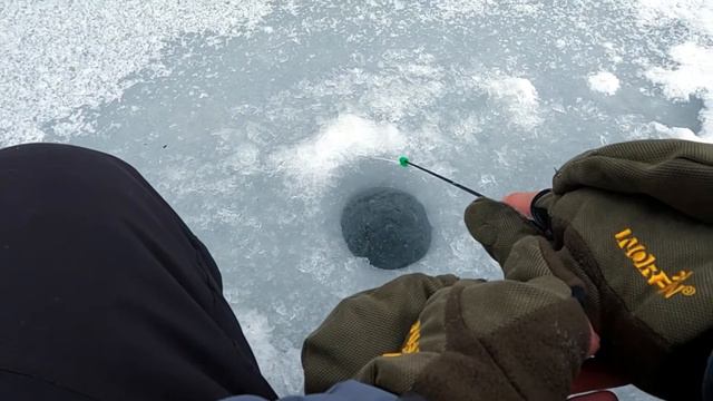 Ловля на мормышку. Окунь, щука, плотва.