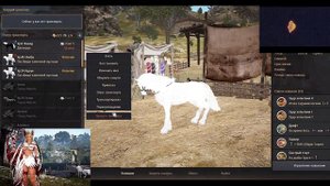 Пробуждение иллюзии Т10 Black Desert БДО