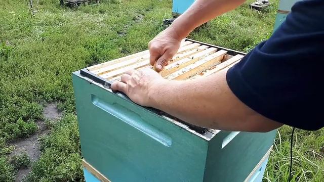 Работаем без шума и пыли!Пчелоудалители! Ответы на вопросы!