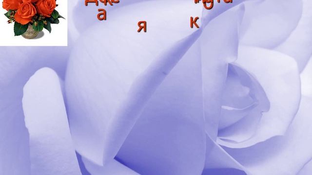 Фитодизайн как решение проблемы разобщенности человека с природой