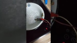 Проверка дтож Toyota