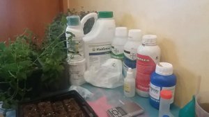 ПРОФЕССИОНАЛЬНАЯ АГРОХИМИЯ! масай, стрекар, стробитек, теппеки, морестан, актара, превикур, изабион