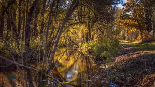 ОТШУМЕЛА ОСЕНЬ...Душевная, красивая песня. смотреть онлайн