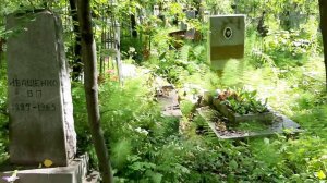 Сибирское кладбище. г.Екатеринбург. 24.07.2020г.