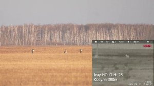 Тепловизионный коллиматор iRay xHolo HL 25
