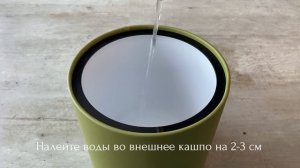 Кашпо с автополивом из экокожи Giro M | Как посадить растение?