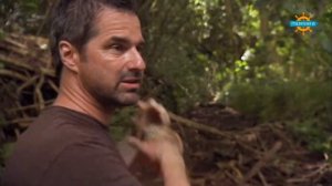 Вход воспрещен. Гавайи