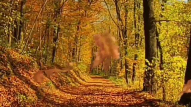 ?Доброе утро!?Осенний приветик!☔ смотреть онлайн