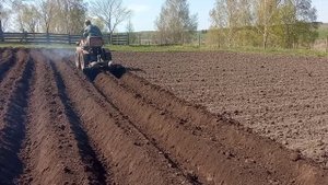 нарезаем борозды под картофель на тз4к14 самодельным окучником