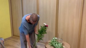 Пионы - как происходит роспуск день за днем. Садовые пионы - сколько срок их жизни в букете?