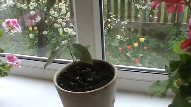 Мой (не совсем обычный) выходной. Пасха 2020. смотреть онлайн