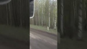 Дорога Томск - Самусь