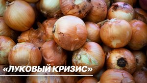 Страны Центральной Азии ввели запрет на экспорт лука. Из-за чего разразился «луковый кризис»?