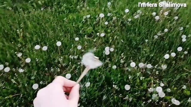 Красота природы??? смотреть онлайн