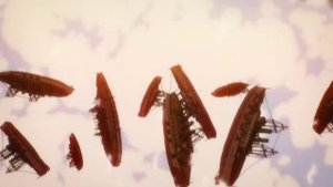 The Rumbling Reaches Marley|| Colossal Titans vs Battleship||Attack on Titan New Episode