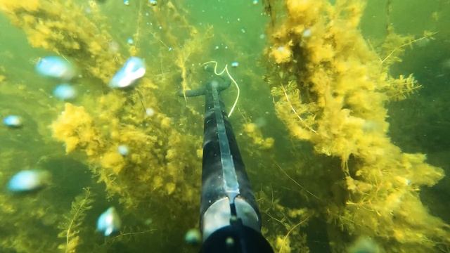 щука порвала линь ((((( смотреть онлайн