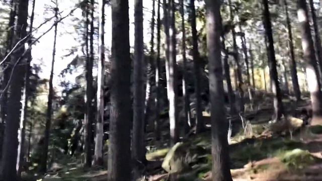 VLOG: Прогулка в заповеднике , красивый горный вид.Přírodní památka Prosíčka. Чехия 2021. 6.11.21 смотреть онлайн
