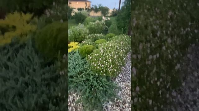 Вариант парадного оформления партера перед домом смотреть онлайн