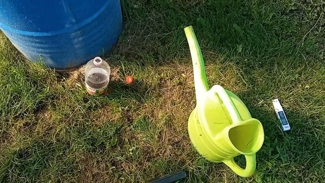 Опадают завязи перца. Что делать? смотреть онлайн