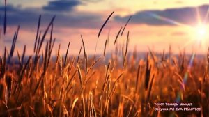 Практика Мирное Небо - Восход Солнца #практика #медитация #аффирмации #мир #энергия #таропсихология