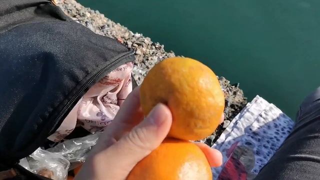 Один день из жизни в Поти. Рыбалка в Черном море. Грузия. смотреть онлайн