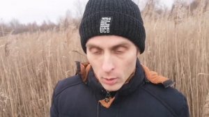 Сверхчеловек о Ежовике Гребенчатом