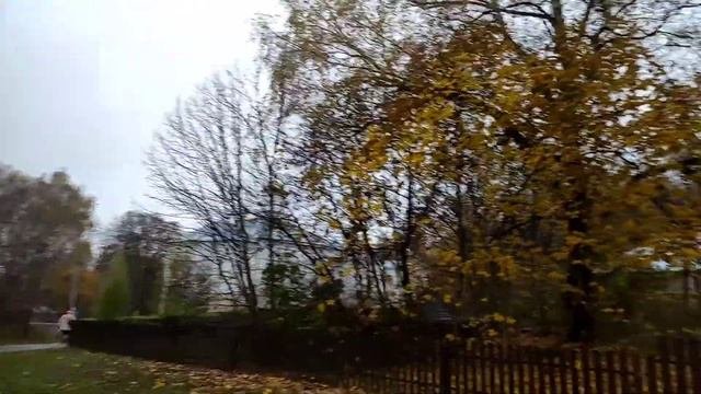 Поездка в Шамординский монастырь.#Шамордино #монастырь #калужскаяобласть