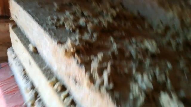 Мыши съели минеральную вату. Чем же теперь утеплить дом? смотреть онлайн