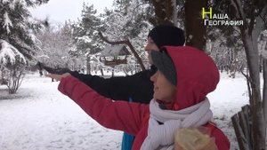 Кормим синичек зимой ❄️