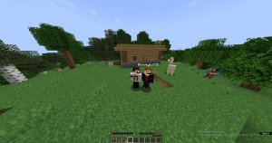 Делаем с другом дом в Майнкрафте