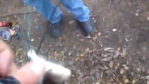 шуваловский карьер на рыбалке до того как я за рыбай упал