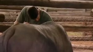 Хищники Против ЛЮДЕЙ. Животные Людоеды. Чудесные Спасения NatGeoWILD