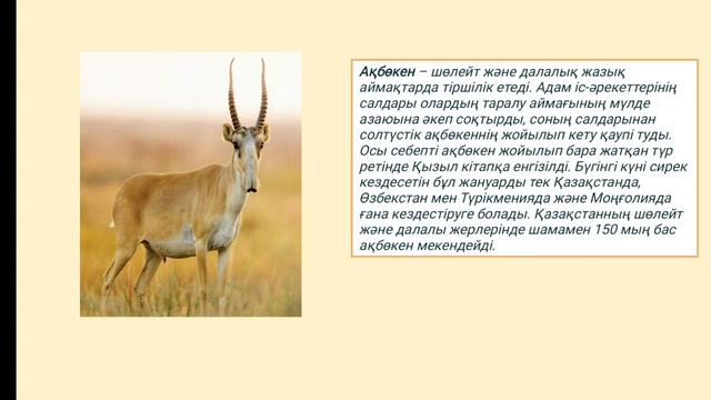 Экожүйенің ауысымы, 6-сынып жаратылыстану смотреть онлайн