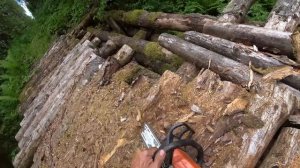 На мотоблоке по ТАЙГЕ! Ремонт вездехода в лесу по пакистански. Снова в строю.